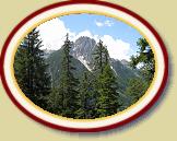 IMG_1565 * 3072 x 2304 * (2.29MB)