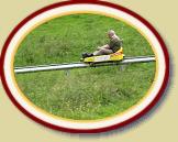 IMG_1582 * 3072 x 2304 * (1.98MB)