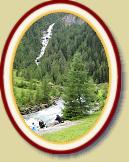 IMG_1584 * 3072 x 2304 * (2.92MB)