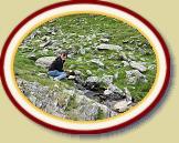 IMG_1596 * 3072 x 2304 * (2.98MB)