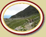 IMG_1598 * 3072 x 2304 * (2.25MB)