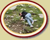 IMG_1607 * 3072 x 2304 * (3.15MB)