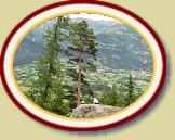 IMG_1612 * 3072 x 2304 * (2.56MB)