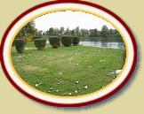 IMG_2074 * 3072 x 2304 * (2.8MB)